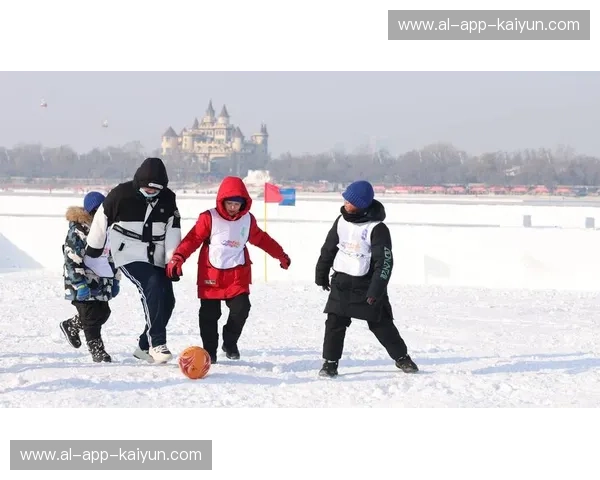 冰球赛程全攻略，让你不错过每一场精彩比赛